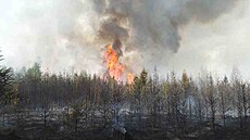 Lesní po�ár u Újezdu u Rosic na Brn�nsku (14. kv�tna 2022)