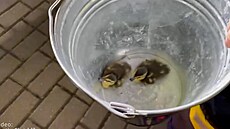 Ká�ata nemohla za matkou, z balkonu jim dol� pomáhali hasi�i