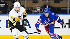 Kris Letang (58) z Pittsburgh Penguins se snaží ujet, stíhá ho Filip Chytil...