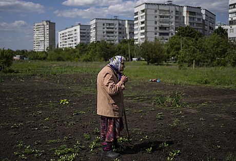 Seniorka Ljudmila, které je 85 let, peuje o záhon v Charkov. (23. kvtna 2022)