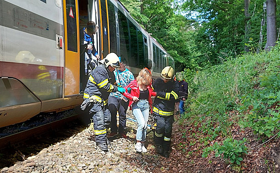V sobotu dopoledne narazil vlak do stromu v eské Líp astolovicích, nikdo z...