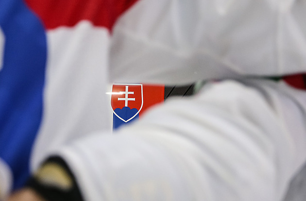 Slovensko je ve čtvrtfinále. Skupinu vyhrálo Švýcarsko, Kanada přejela Francii
