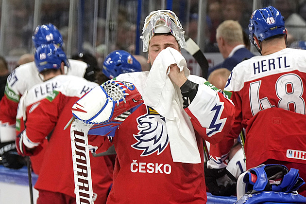 Vejmelkův plán: Medaili chci slavit na ledě. Češi vítají oporu do brány