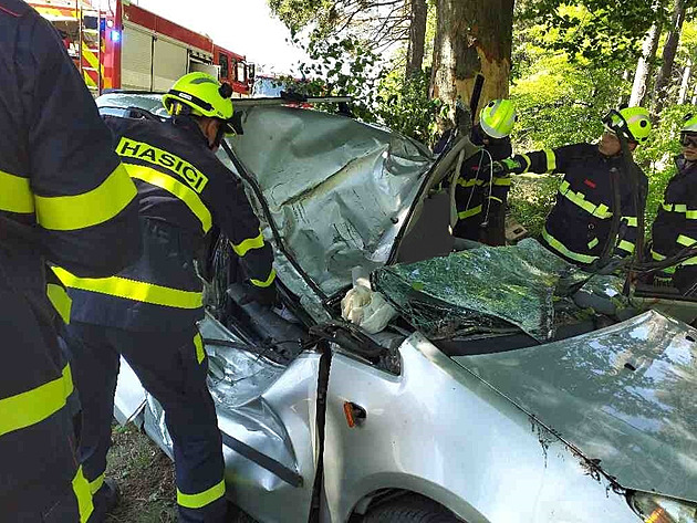 Dva lidé zemřeli po nárazu auta do stromu, tři psy hasiči vyprostili živé