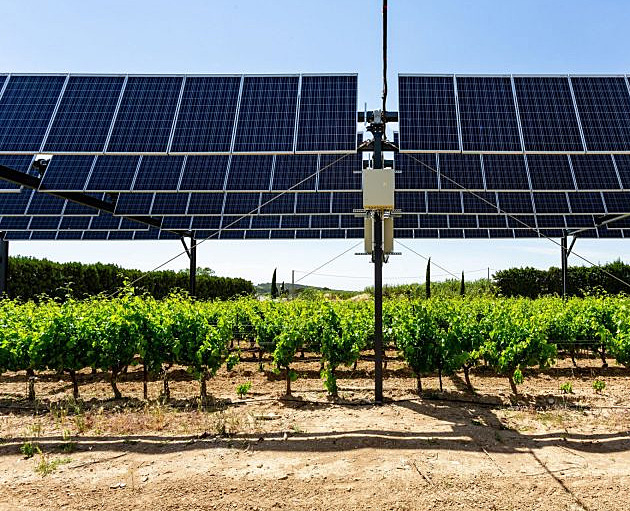 Soláry do sadů i vinohradů. Agrovoltaika je příležitostí pro soběstačnost