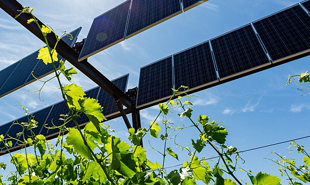 Vláda souhlasí se soláry nad sady, budou stát víc než konvenční fotovoltaiky