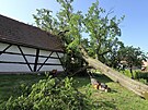 Letitý dub vyvrácený bouřkou poškodil statek v Milíkově.