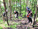 Bosé karmelitky pi zvelebování lesoparku