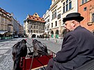 Perfektn pe. Ko se o sv kon staraj svdomit. Zajiuj jim pstup k...