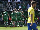 Hrái Bohemians oslavují vstelený gól v baráovém utkání proti Opav.