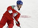 eský hokejista Matj Blümel