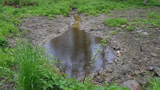 Díky projektu se voda drží v krajině, místo se nachází poblíž osady Dobrá nedaleko Volar.