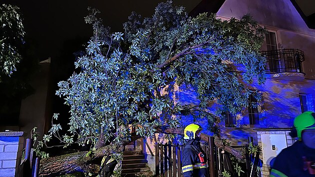 Kvůli silným bouřkám zasahovali hasiči v Praze u více než 60 událostí. Jednalo se o uvolněné plechy, popadané stromy a větve. (20. května 2022)