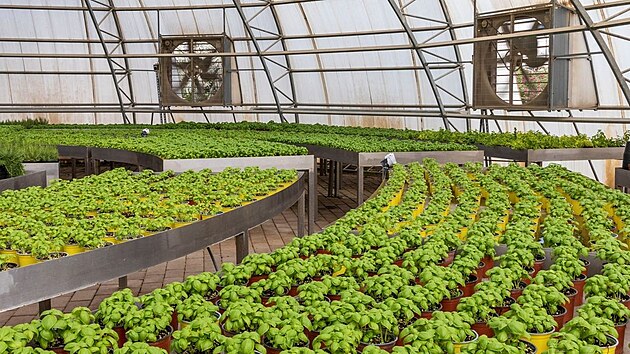Farma ve tvrti Sustainable City v Dubaji
