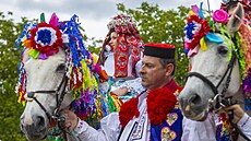 V nedli projel Vlnovem na Uherskohradisku král s druinou. (29. kvtna 2022)