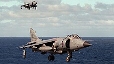 Sea Harrier FRS.1