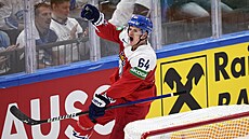 �eský úto�ník David Kämpf (64) a jeho gólová oslava