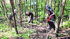 Bosé karmelitky pi zvelebování lesoparku