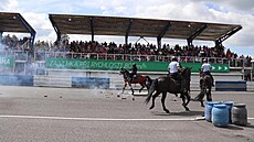 Policisté na koních bhem preventivní akce na autodromu Sosnová. Zástupci z...