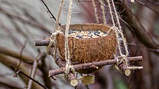 Z v�tvi�ek a kokosové sko�ápky zase m��ete vyrobit �ist� p�írodní krmítko pro...