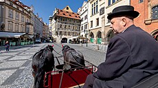 Ilustra�ní snímek