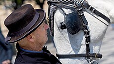 Ilustra�ní snímek