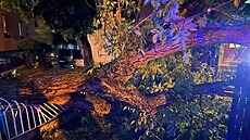 Kv�li silným bou�kám zasahovali hasi�i v Praze u více ne� 60 událostí. Jednalo...