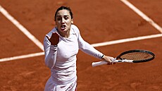 Italka Martina Trevisanová bhem osmifinále Roland Garros.