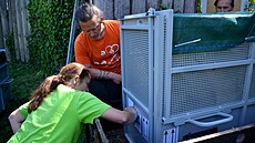 Novým domovem bílých �ty��at lva jihoafrického se stane jihoamerická Venezuela....