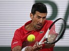 Soustedný srbský tenista Novak Djokovi ve tvrtfinále Roland Garros