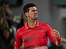 Srbský tenista Novak Djokovi v akci bhem tvrtfinále Roland Garros