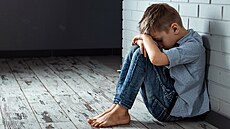 ilustra�ní snímek