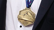 Bronzová medaile z mistrovství svta.