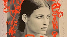 Zv�t�enina známky z emise �25 LET NADACE TEREZY MAXOVÉ�, jedná se o zarámovaný...