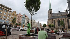 Výsadba strom� do p�enosných nádob na plze�ském nám�stí Republiky. (27. 5. 2022)