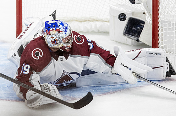 Pavel Francouz z Colorado Avalanche inkasuje.