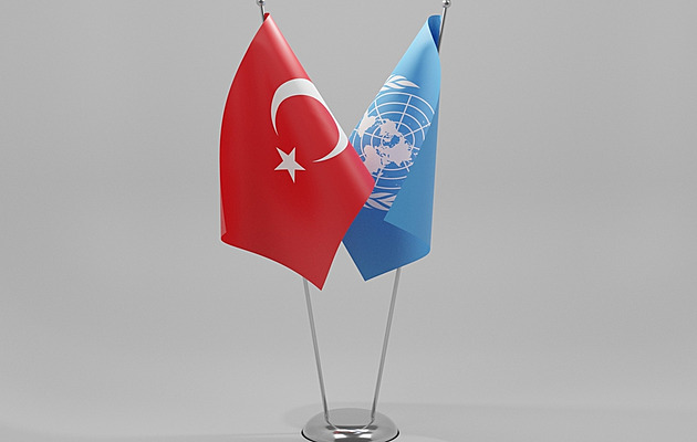 Už ne Turkey, ale Türkiye. Země má u OSN nový název, nechce být za krocana