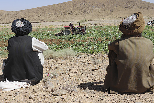 O nich bez nich, hnutí Tálibán není pozvané na jednání o Afghánistánu v Dauhá