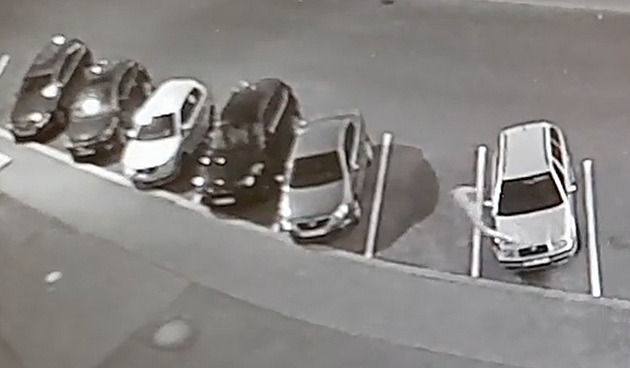 VIDEO: Muž skákal po kapotách aut, prošel se i po voze strážníků