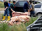 Obyvatelé Mykolajivu likvidují znehodnocené vepové maso po ruském...