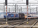 Francouzské TGV dorazilo na praské Hlavní nádraí. (5. ervna 2022)