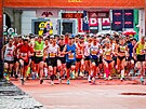 Momentka z budjovickho plmaratonu