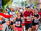 Momentka z budjovickho plmaratonu