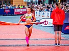 Tereza Hrochov v cli budjovickho plmaratonu.