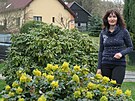 Zahradnice Radka Votavová pedstavuje mahonii cesmínolistou jako rostlinu,...