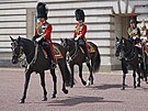 Princ Charles, princ William a princezna Anna na oslavách platinového výroí...