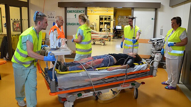 Cvien zchran na chebskm letiti simulovalo pd letadla do davu lid. Pacienti pak putovali do karlovarsk nemocnice. (8. ervna 2022)