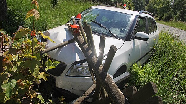 �ty�ia�edes�tilet� �idi� usnul za j�zdy ve fabii. V Oskav� sjel ze silnice, poni�il plot a zastavil a� o pa�ez v zahrad�.