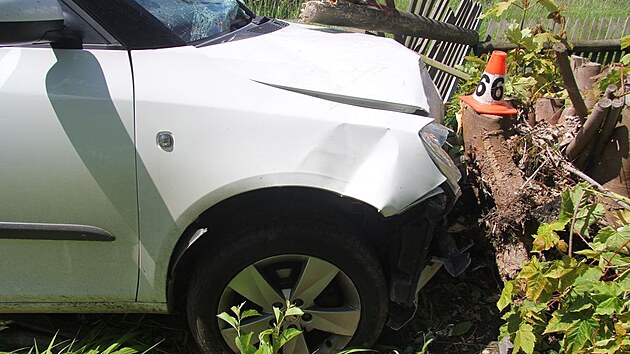 �ty�ia�edes�tilet� �idi� usnul za j�zdy ve fabii. V Oskav� sjel ze silnice, poni�il plot a zastavil a� o pa�ez v zahrad�.