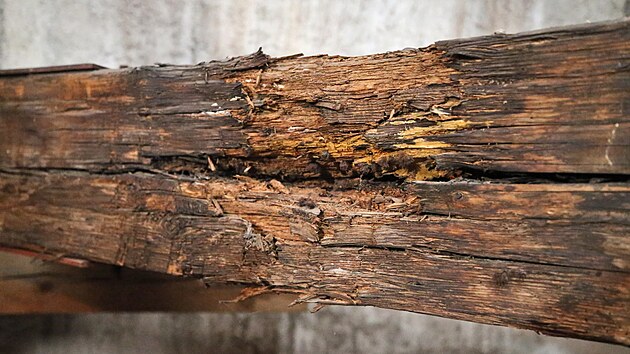 Pohled pod st�echu chr�mu si budou moci n�v�t�vn�ci dop��t jenom v�jime�n�, o zp��stupn�n� krovu - tak jako v p��pad� nedalek�ho chr�mu sv. Jakuba - c�rkevn� spr�va neuva�uje. Zp��stupn�na ale z�ejm� bude ji�n� v�. St�echa nikdy nebyla kompletn� opravov�na, v�t�ina ��st� krovu je p�vodn�ch.